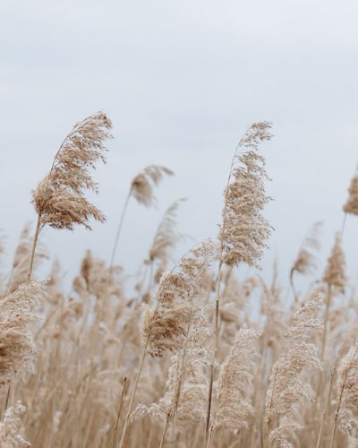 yehor-milohrodskyi-Vv1nS2ieuS0-unsplash (1)